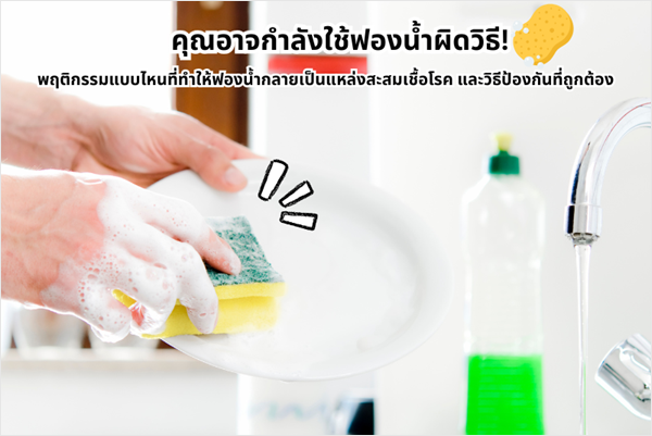 ข้อผิดพลาดที่หลายคนทำ! ใช้ฟองน้ำล้างจานแบบนี้ เสี่ยงเชื้อโรคเพียบ