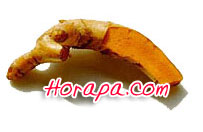 curcuma.jpg